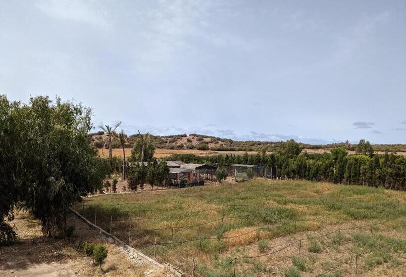 بنسيون Mesdunes