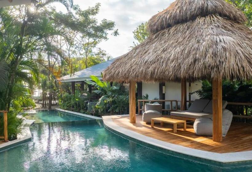 استراحتگاه Blue Mist Hotel  Adults Only