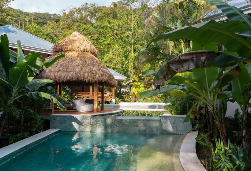 استراحتگاه Blue Mist Hotel  Adults Only