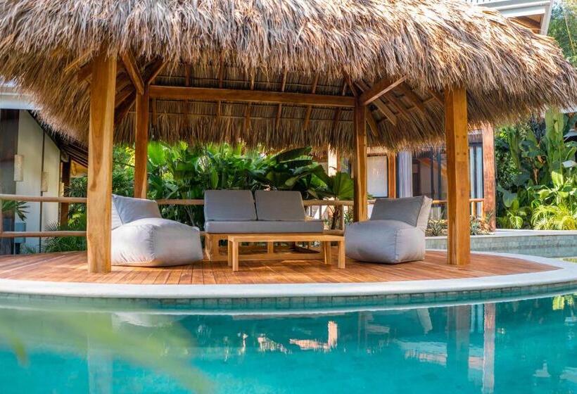 استراحتگاه Blue Mist Hotel  Adults Only