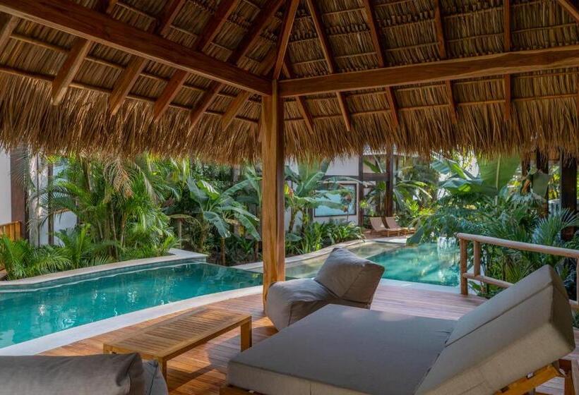 استراحتگاه Blue Mist Hotel  Adults Only