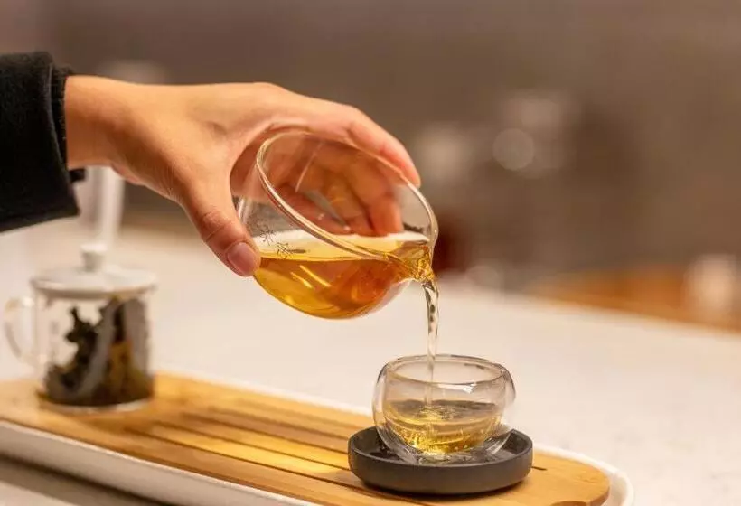 هاستل Cho Stay Capsule Hotel Taoyuan Airport T2