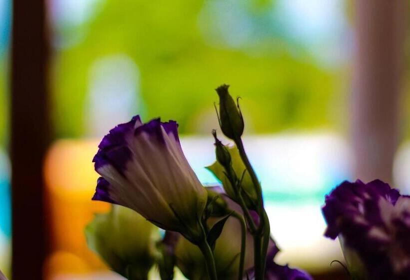 Szálló Finca Thakni  Casa De Campo