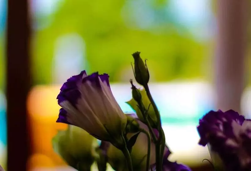 Retkeilymaja Finca Thakni  Casa De Campo