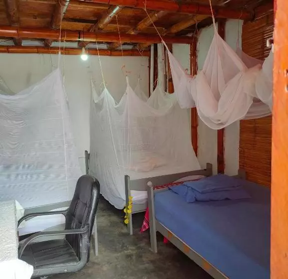 ユースホステル Wally S House Mancora