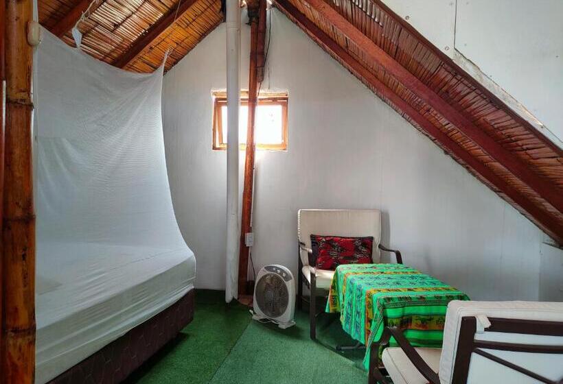 Herberge Wally S House Mancora