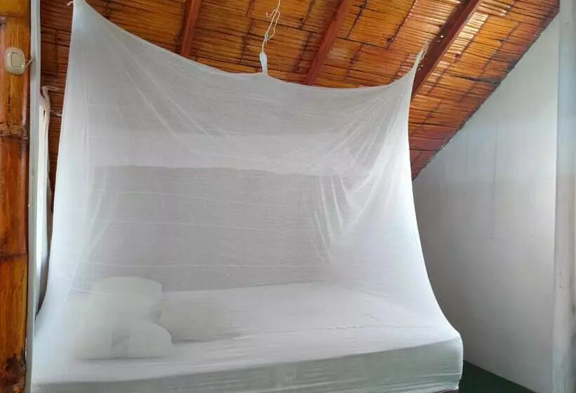 ユースホステル Wally S House Mancora