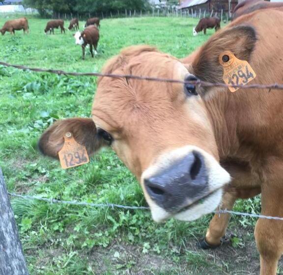 住宿加早餐  Chambres D Hôtes Des Bauges Route 26 57