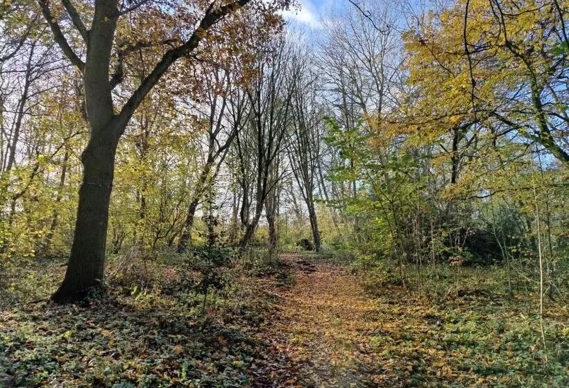 Aamiaismajoitus (B&B) Kwadijkerbos