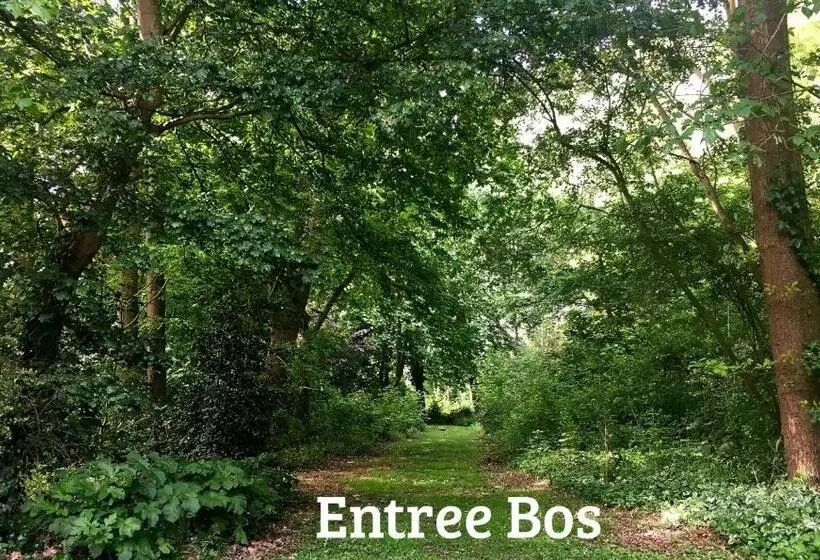 Aamiaismajoitus (B&B) Kwadijkerbos