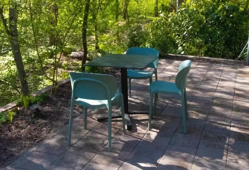 Aamiaismajoitus (B&B) Kwadijkerbos