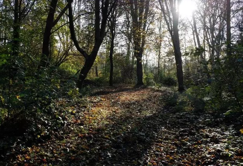 Aamiaismajoitus (B&B) Kwadijkerbos