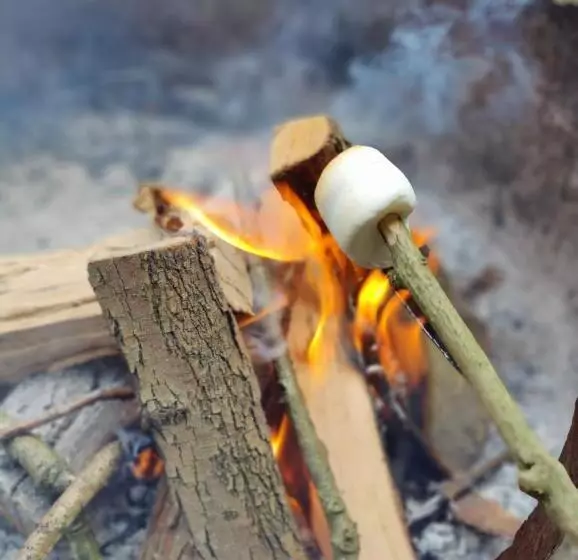 Aamiaismajoitus (B&B) Kwadijkerbos