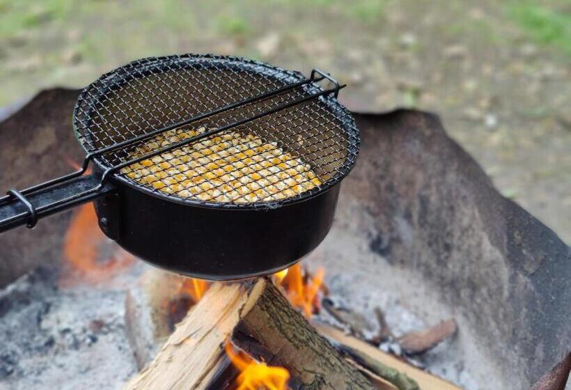 Bed and Breakfast Kwadijkerbos