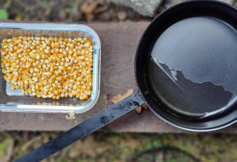 Bed and Breakfast Kwadijkerbos