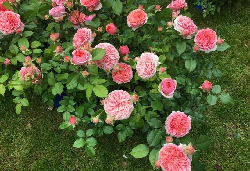 Bed and Breakfast Les Portes De Bourgogne