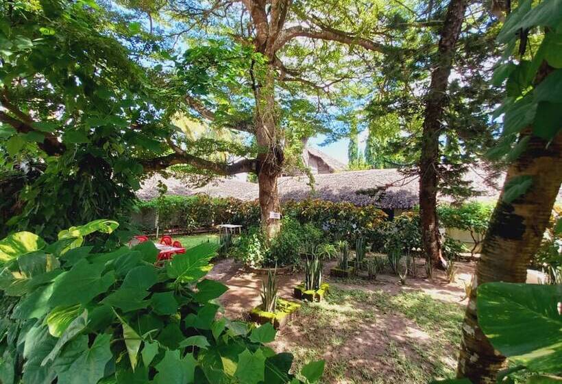 Comfy Dhows Hotel, Kilifi