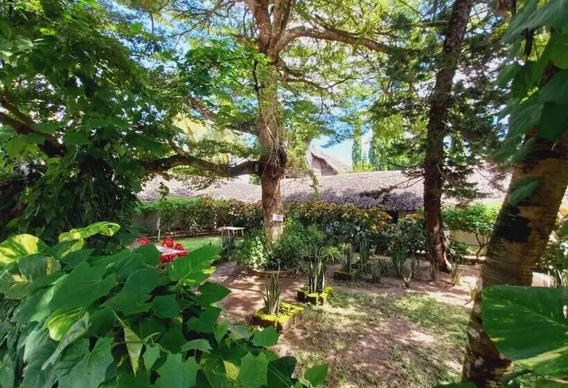 Comfy Dhows Hotel, Kilifi