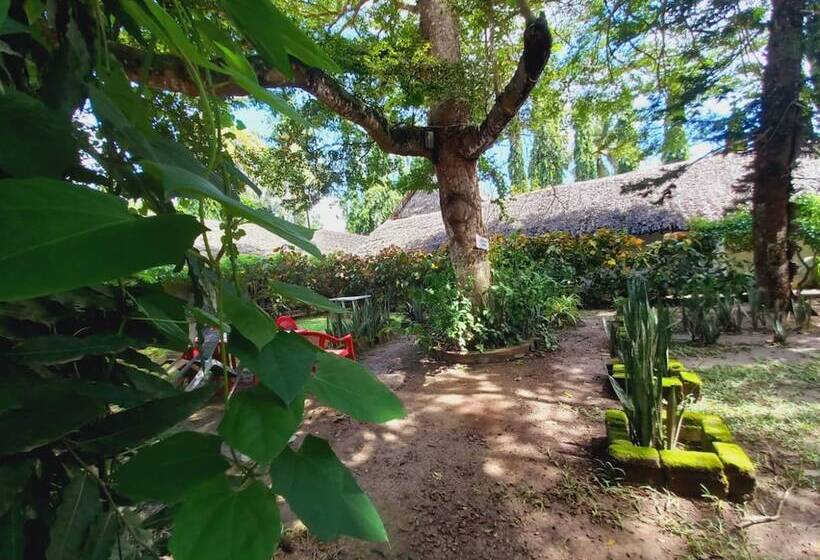 Comfy Dhows Hotel, Kilifi