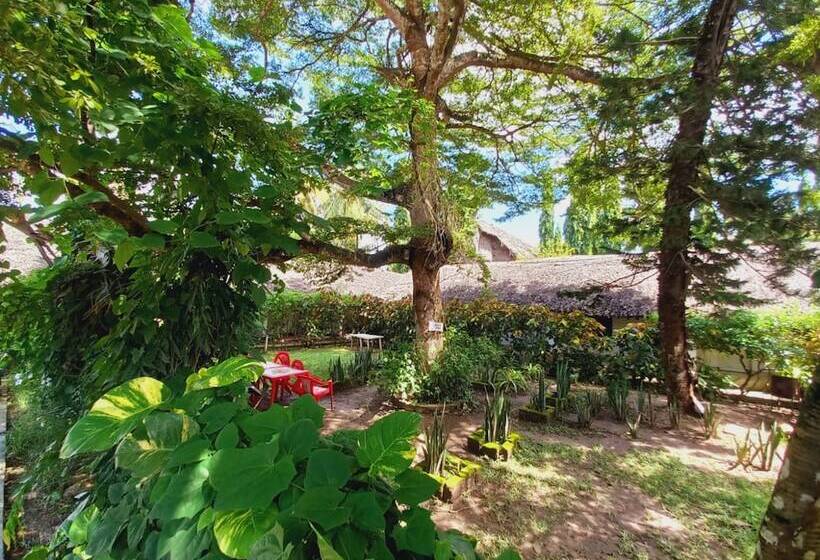 Comfy Dhows Hotel, Kilifi