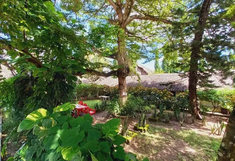 Comfy Dhows Hotel, Kilifi