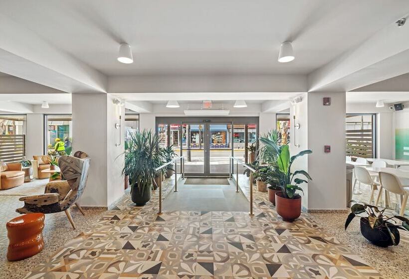 Hibird Apartment And Suites