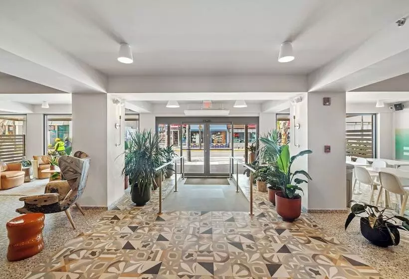 Hibird  Apartment And Suites