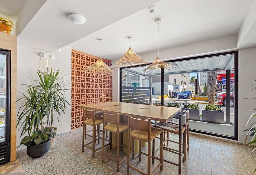 Hibird Apartment And Suites