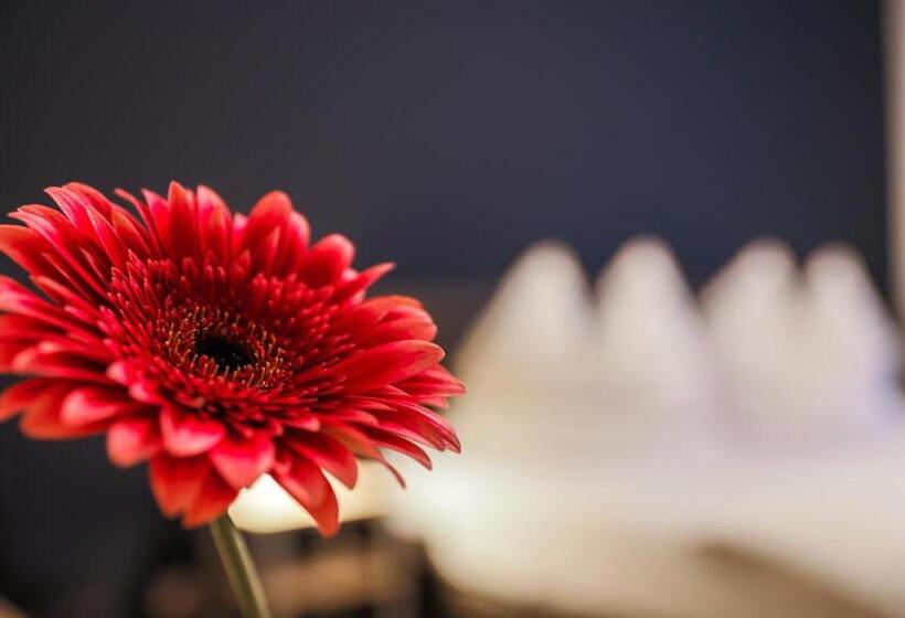 בית מלון כפרי Monopol