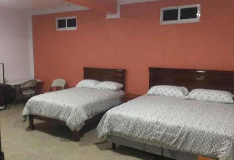 بنسيون Casa Alebrijes