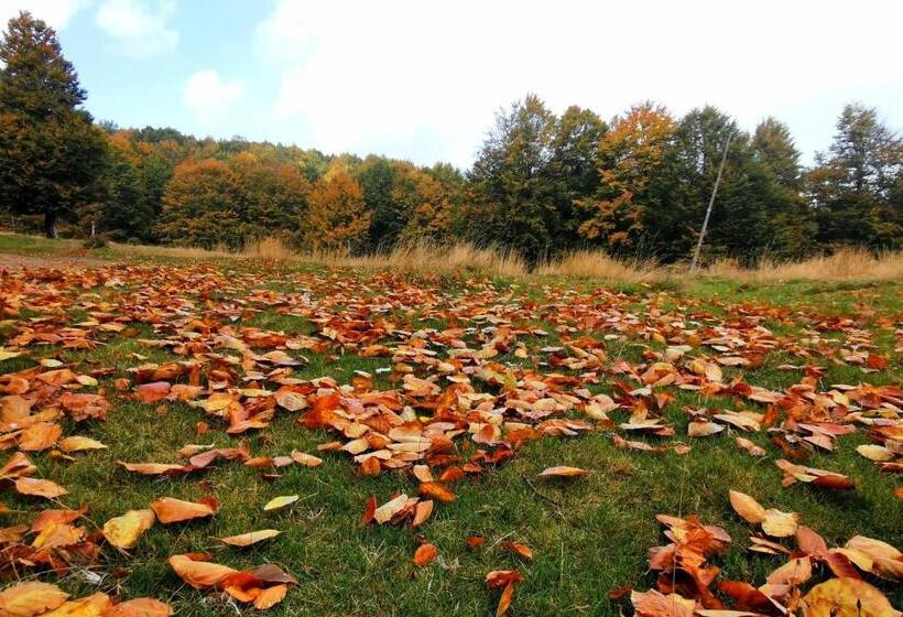 ペンション Motolan