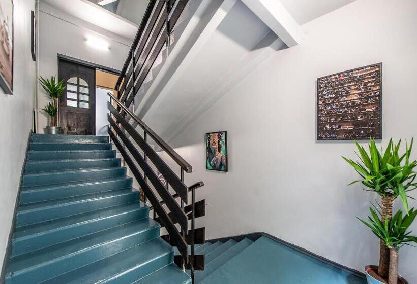 پانسیون The House Black