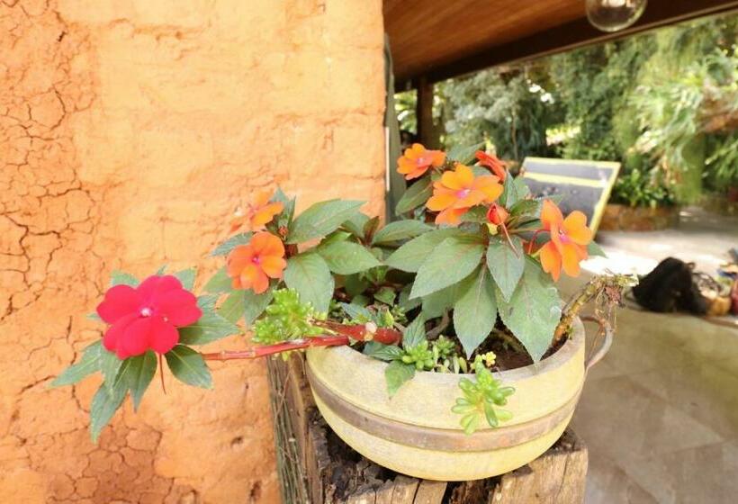 ユースホステル Pousada Maria Bonita