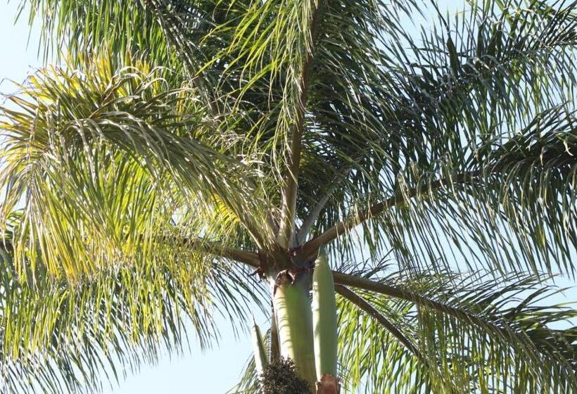 ユースホステル Pousada Maria Bonita