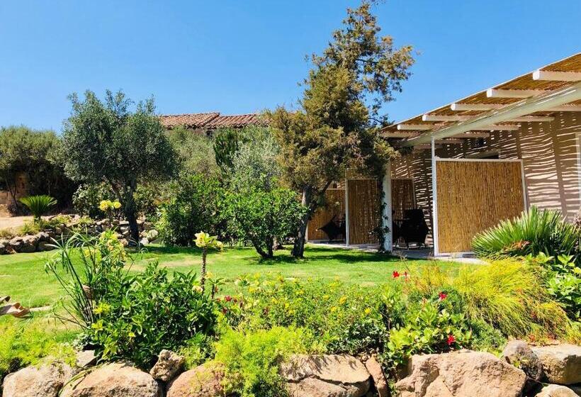 住宿加早餐  Acquamaris Tuerredda