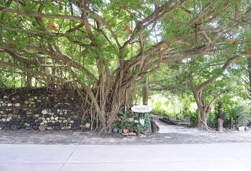 تختخواب و صبحانه Thansila Resort