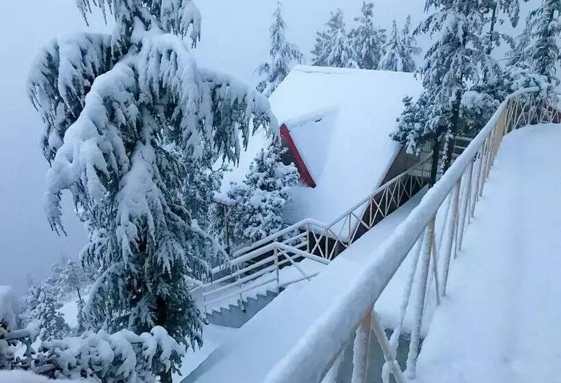 Hotelli Kvr Clarks Inn, Kufri