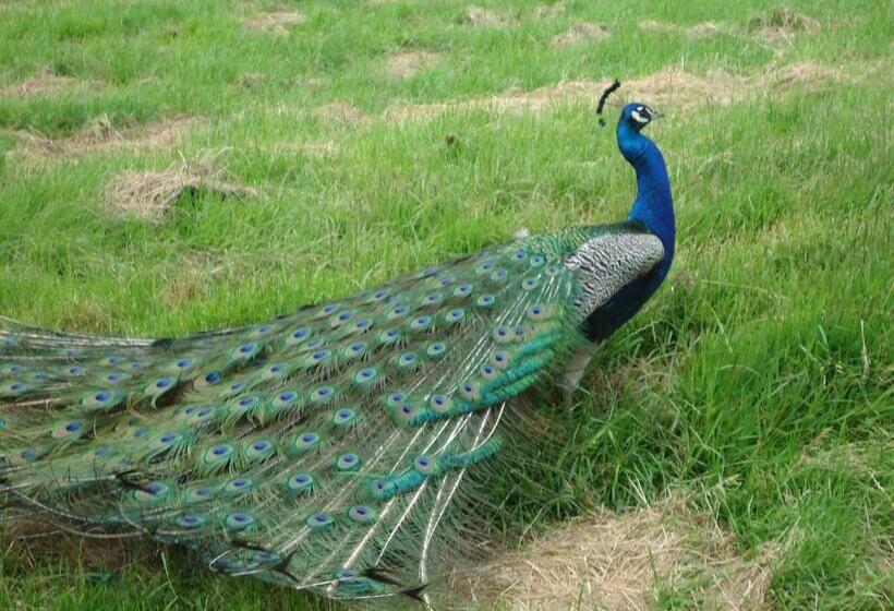 Отель Maison De Maître En Baie De Somme