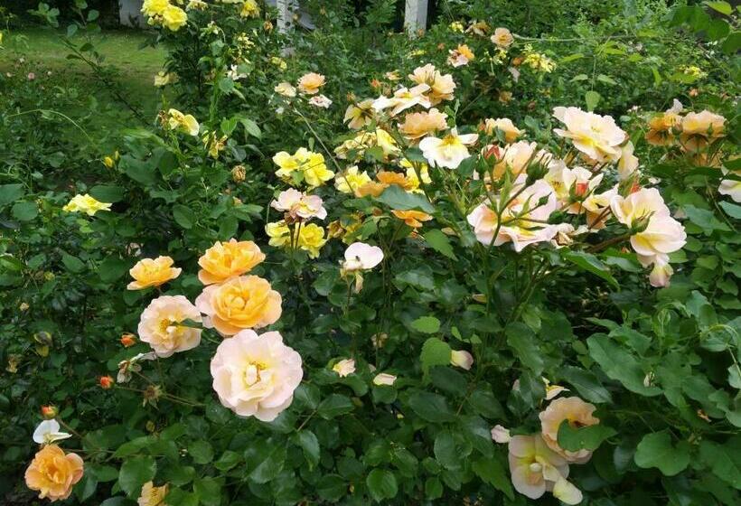 Pensiune Le Logis De Vallans