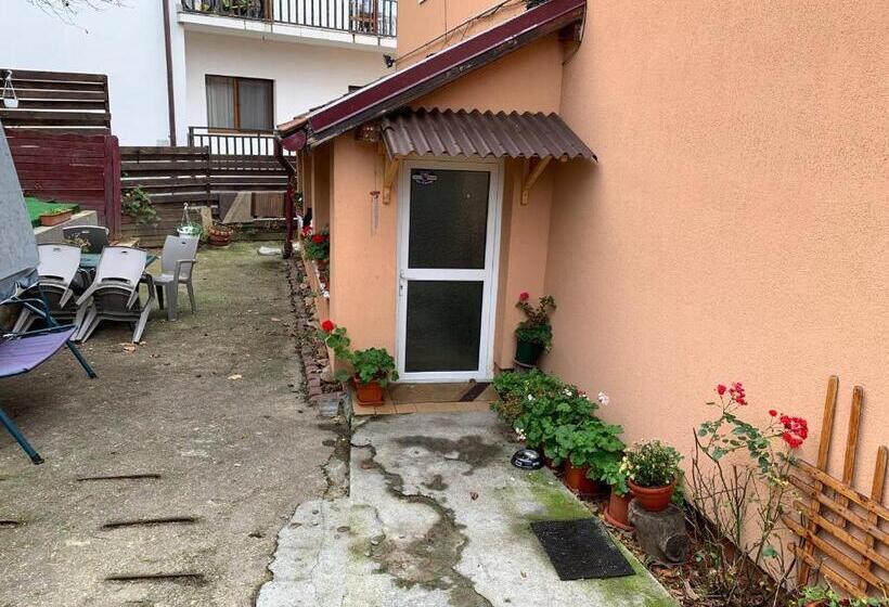 ペンション Old Town Petcu`s House