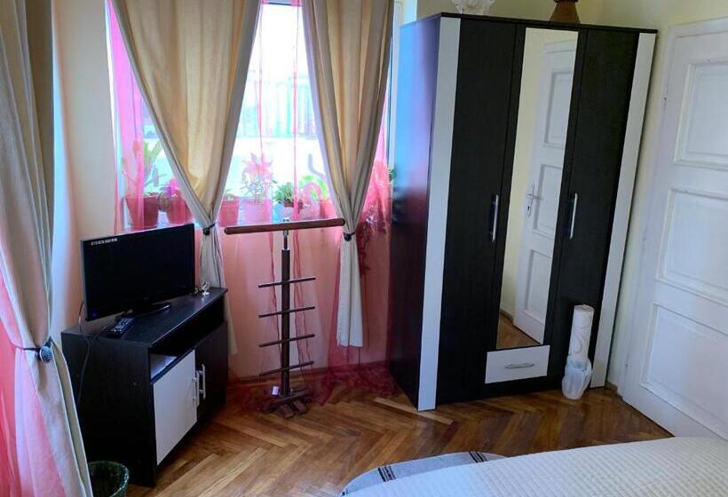 ペンション Old Town Petcu`s House