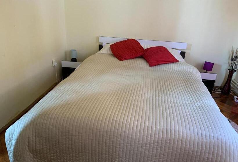 ペンション Old Town Petcu`s House