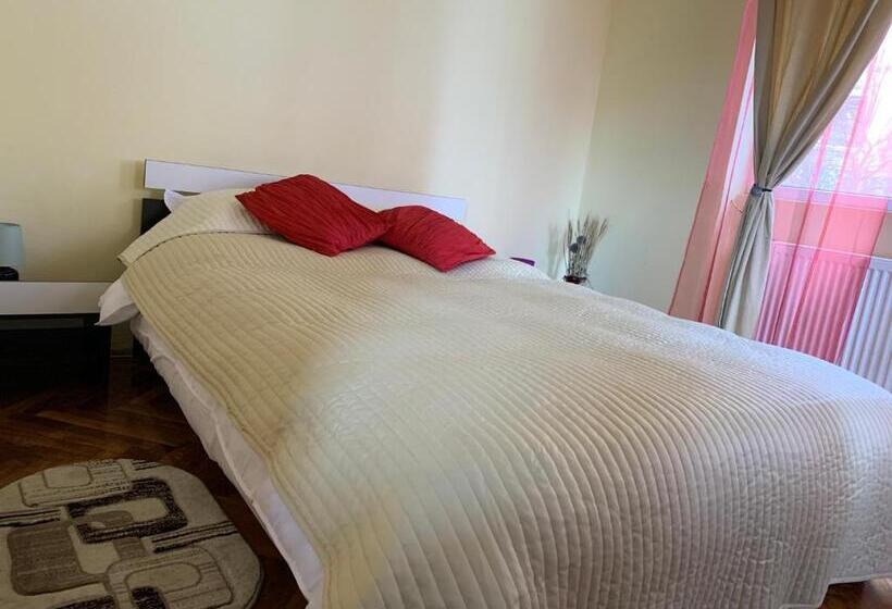 ペンション Old Town Petcu`s House