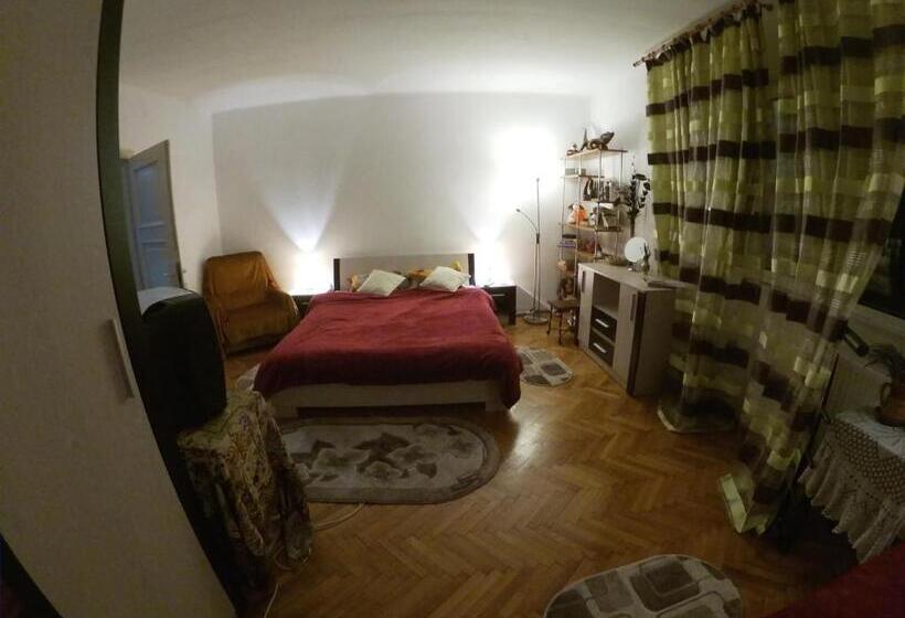 ペンション Old Town Petcu`s House