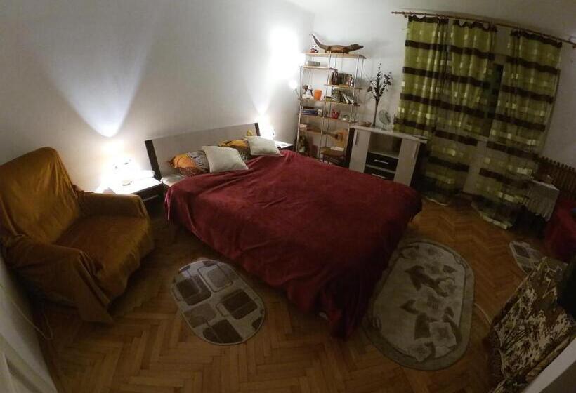 ペンション Old Town Petcu`s House