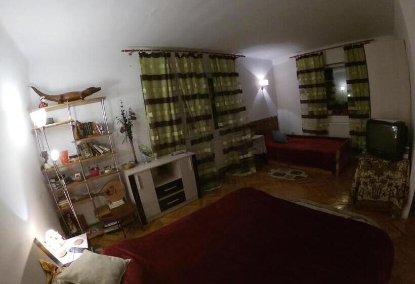 ペンション Old Town Petcu`s House