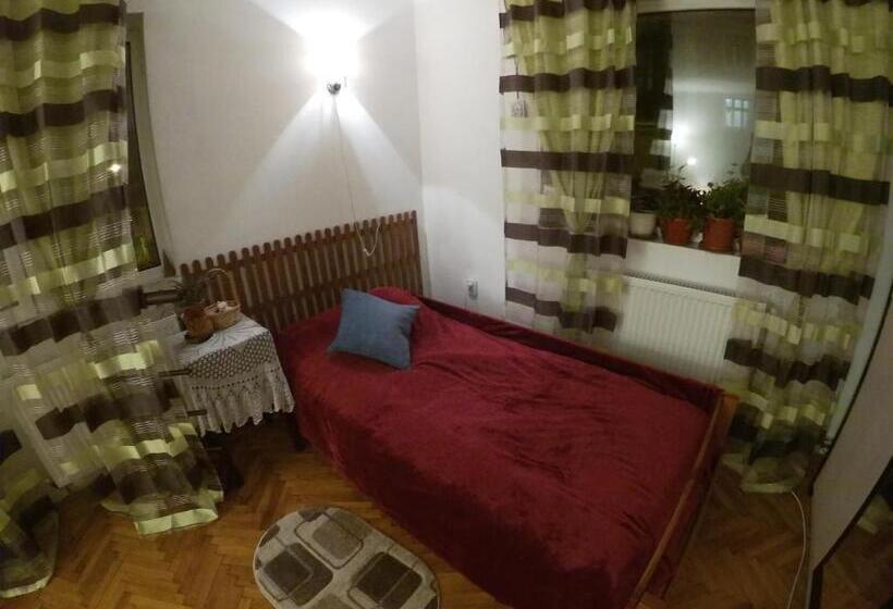 ペンション Old Town Petcu`s House