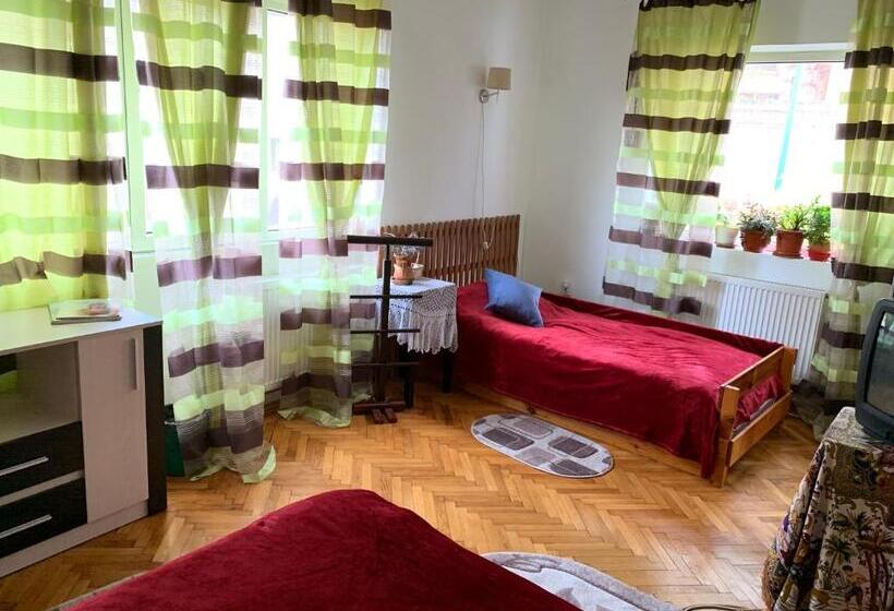 ペンション Old Town Petcu`s House