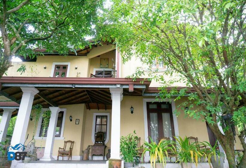 פנסיון Villa D 87