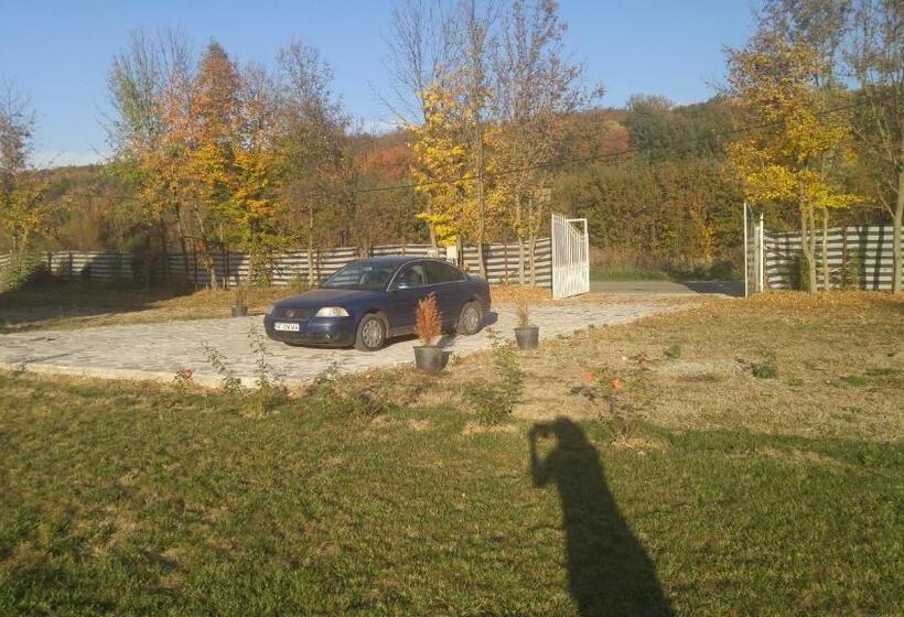 Pensiunea Casa Vanatorului